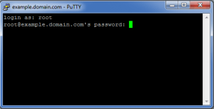 terminal-prompt